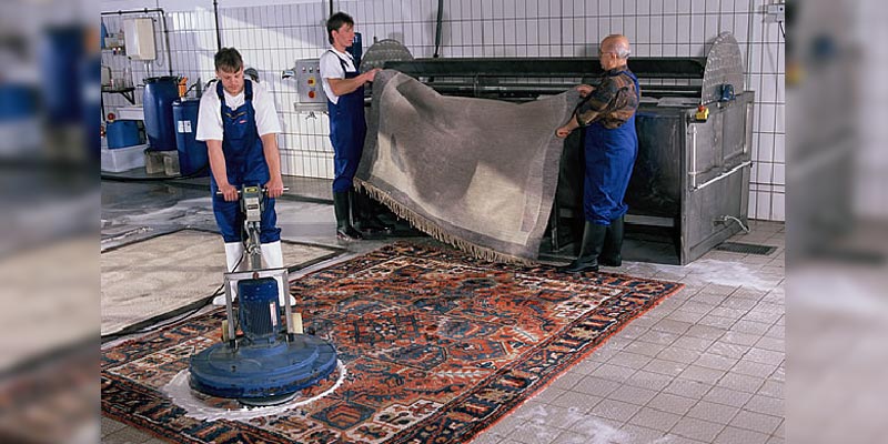 Why You Should Hire a Professional Upholstery and Carpet Cleaning Company